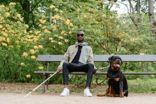 Chien guide d’aveugle : formation et droits d’accès