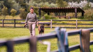 Chien de travail : la portée sépare plus que la race