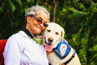 Médiation animale : thérapie assistée par le chien