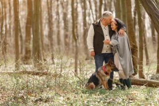 Chien réformé à adopter : le vrai coût d'une retraite